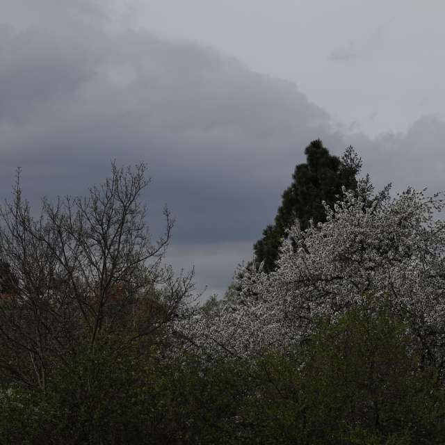 Fotos Paisagem. Previsões do tempo com lindas fotos de Vasek325 em Praha 4