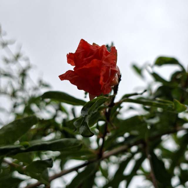 Fotos Alto. Previsões do tempo com lindas fotos de Wen-ya Huang em Kaohsiung City