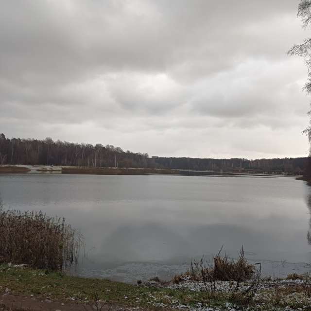 Herd. Weather forecasts with beautiful photos by Amanda_and_Valdemar_Che Photos in Izmaylovo District