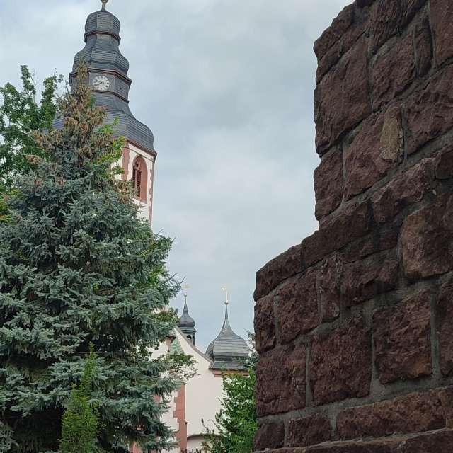 Stone. Weather forecasts with beautiful photos by Tercis Photos in Ettlingen