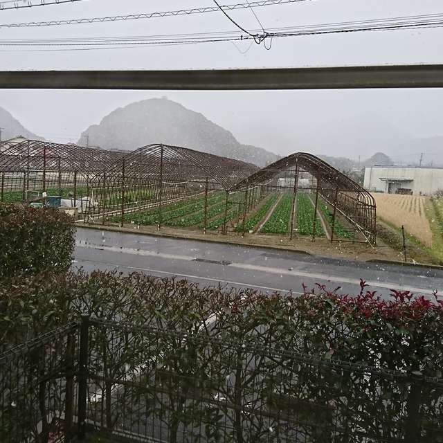 小倉南区 日本 14日間の天気予報 レーダー 写真 Weawow