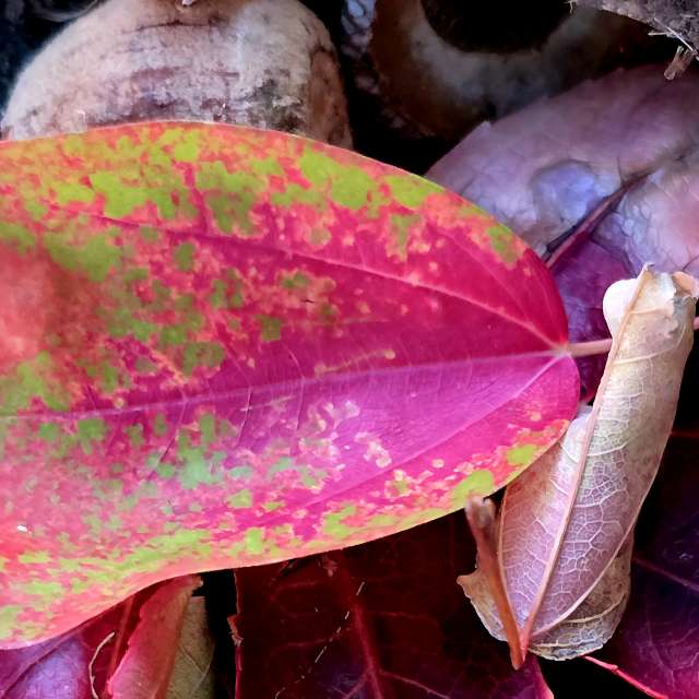 Previsões do tempo com lindas fotos de jJaycox