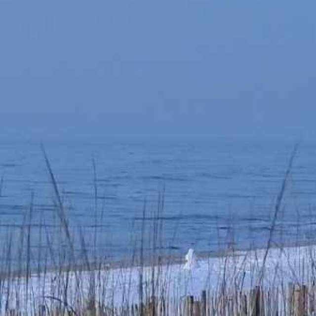 Прогнозы погоды с чудесными фотографиями, сделанными Awcat