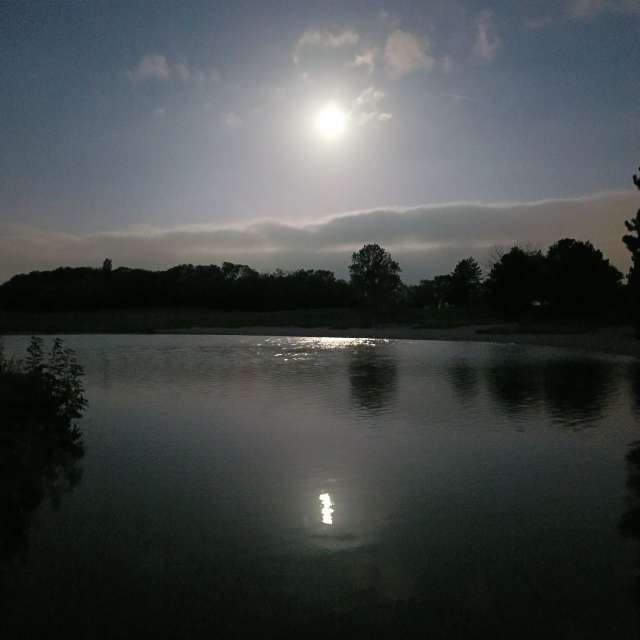 Angedockt. Wettervorhersagen mit schönen Fotos von Kripo Fotos Niederösterreich