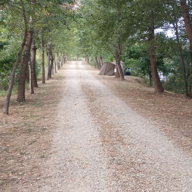 Wettervorhersagen mit schönen Fotos von dobrev77