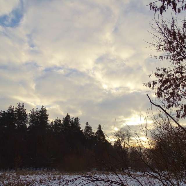 Country. Weather forecasts with beautiful photos by Михаил Гавриков Photos in Kharkiv