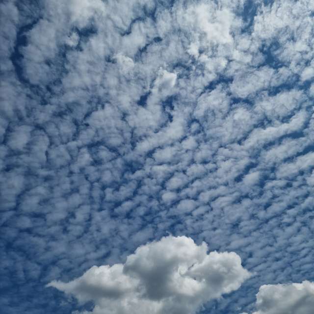 Fotos del Clima. Pronósticos del tiempo con hermosas fotos de Sparass en Osinów Dolny