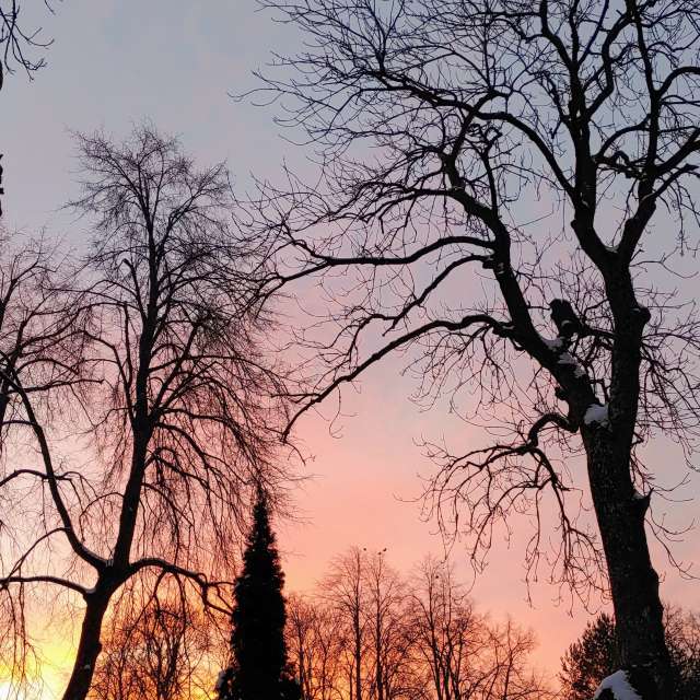 Jazzinevirgaの美しい写真による天気予報