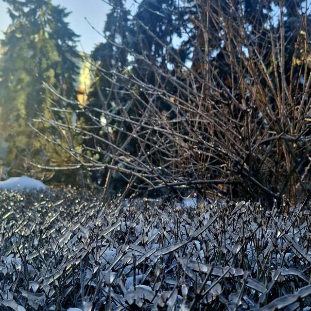 Weather forecasts with beautiful photos by Iryna