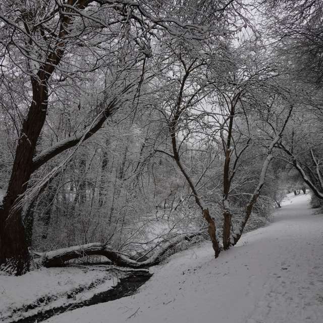 Fotos Riacho. Previsões do tempo com lindas fotos de Vasek325 em Praha 4