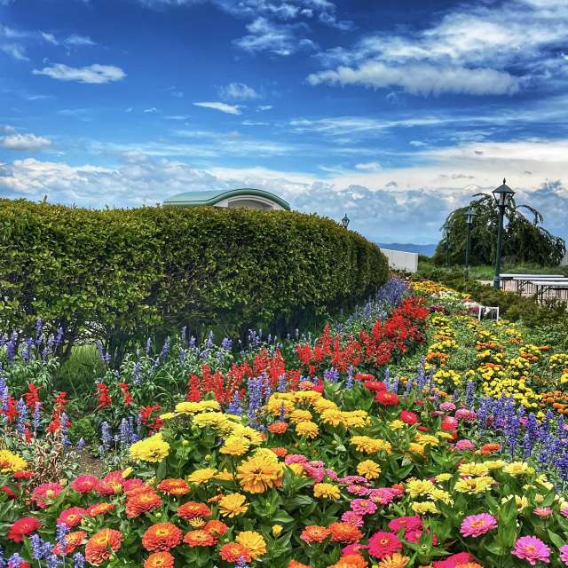 Colorful. Weather forecasts with beautiful photos by Kasumisou Photos in Saku-shi
