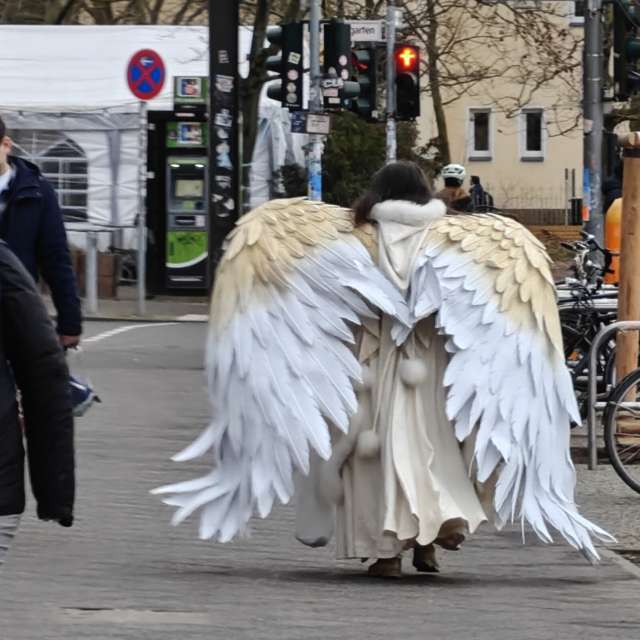 RoDi-zignの美しい写真による天気予報