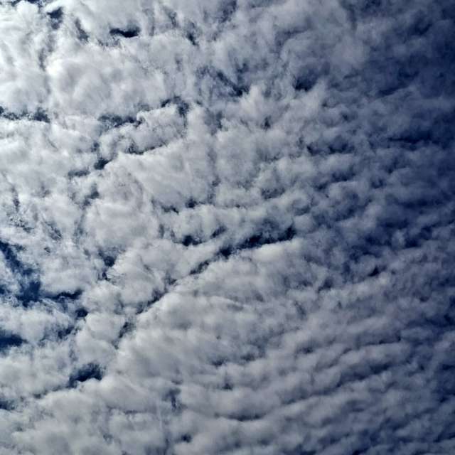 Photos Troupeau. Prévisions météo avec de superbes photos de Wen-ya Huang de Kaohsiung