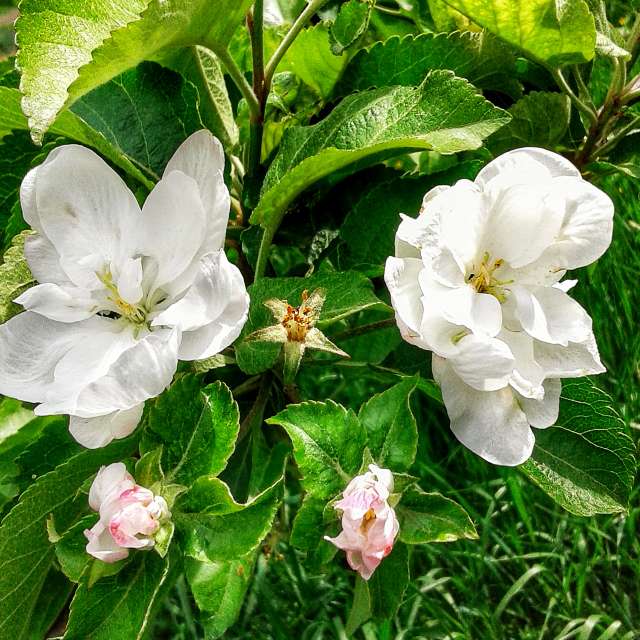 Group. Weather forecasts with beautiful photos by urashm Photos in Khmelnytskyi