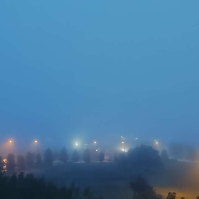 Tree. Weather forecasts with beautiful photos by Romek58 Photos in Wieluń