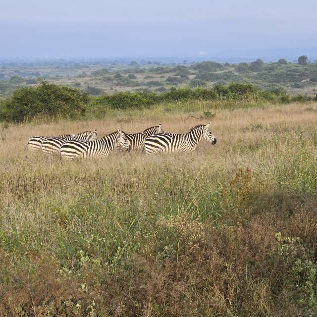 Pronósticos del tiempo con hermosas fotos de Birdy25