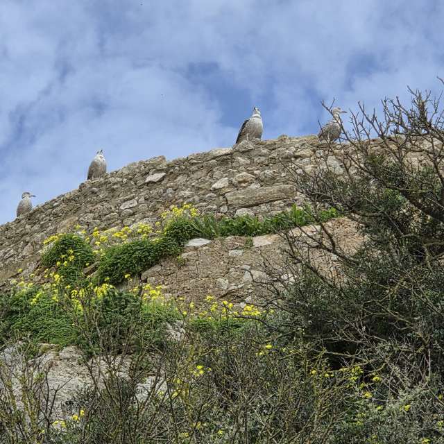 Rocky. Weather forecasts with beautiful photos by Brtd Photos in World