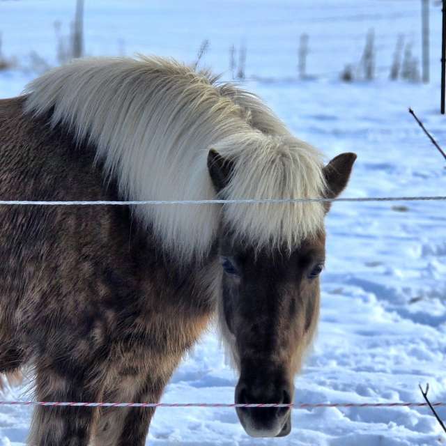 Helaの美しい写真による天気予報