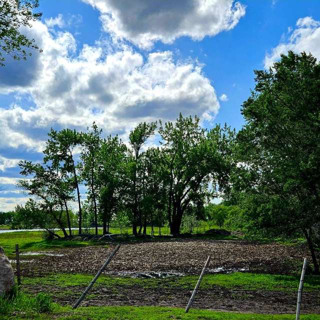 Jd2024の美しい写真による天気予報