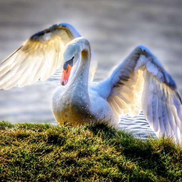 Prévisions météo avec de superbes photos de Lotti5507