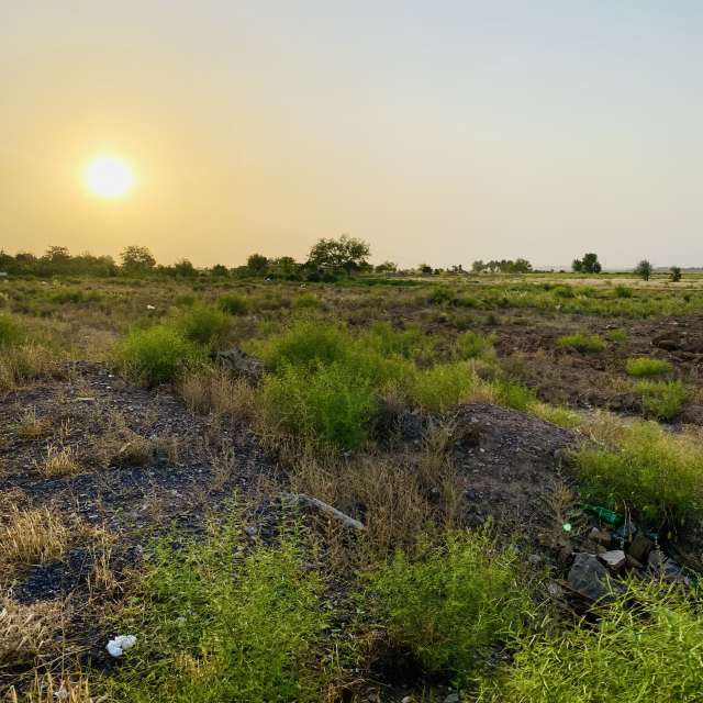 Weather forecasts with beautiful photos by Hamid-N