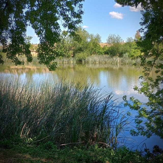 Almaの美しい写真による天気予報