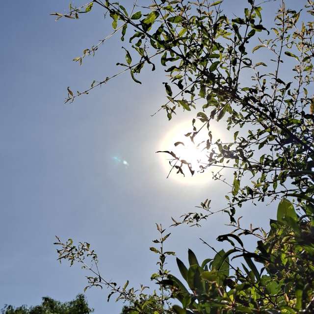 Flock. Weather forecasts with beautiful photos by Wen-ya Huang Photos in Kaohsiung City
