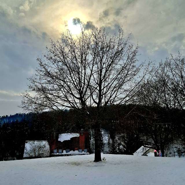 Dự báo thời tiết với những bức ảnh đẹp của Steffi316