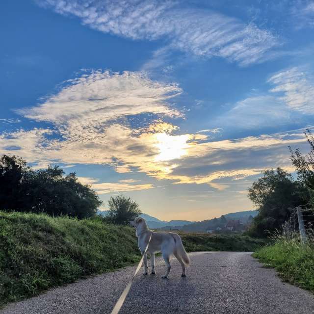 Riding. Weather forecasts with beautiful photos by Anamarija Photos in Slovenia
