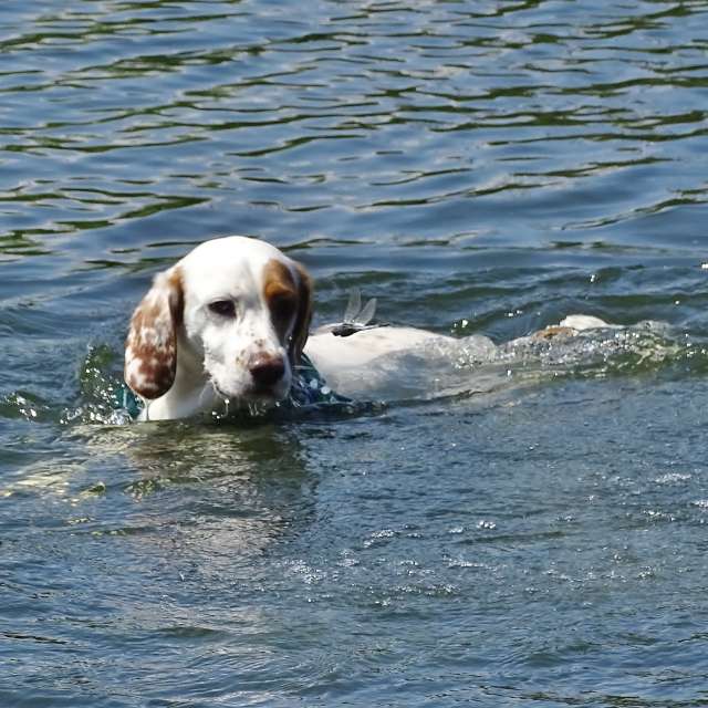 Water. Weather forecasts with beautiful photos by Михаил Гавриков Photos in Kharkiv