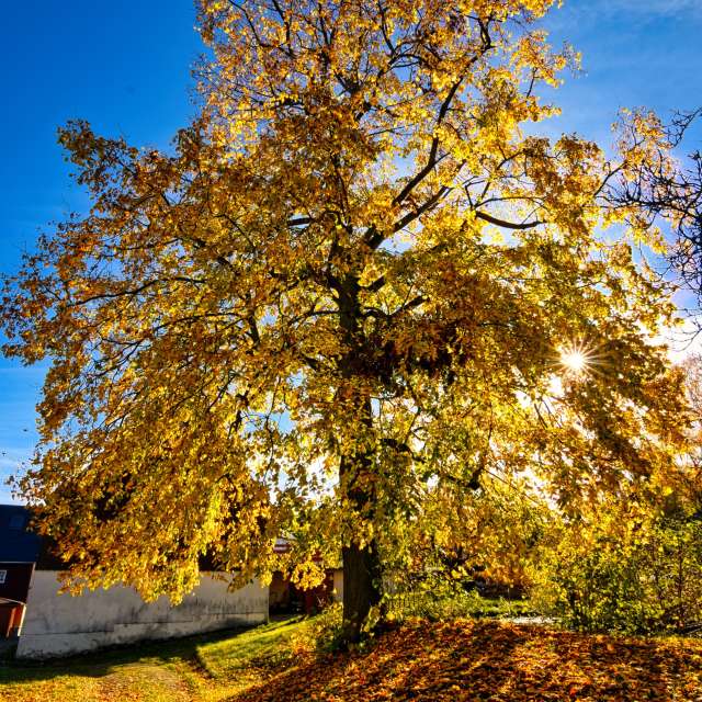 Прогнозы погоды с чудесными фотографиями, сделанными Jens