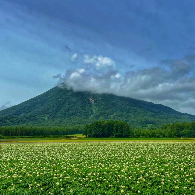 Weather forecasts with beautiful photos by Kasumisou