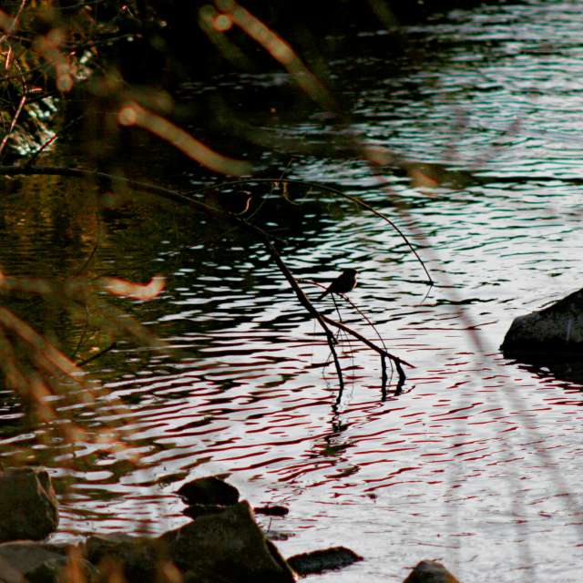 Standing. Weather forecasts with beautiful photos by tony5636 Photos in Calvisson
