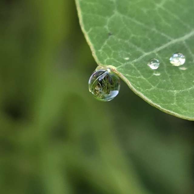 Фотографии Погоды в Мир. Прогнозы погоды с чудесными фотографиями, сделанными Brtd