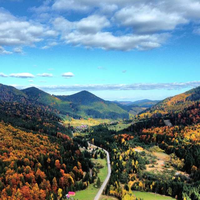 Weather forecasts with beautiful photos by Camelyon