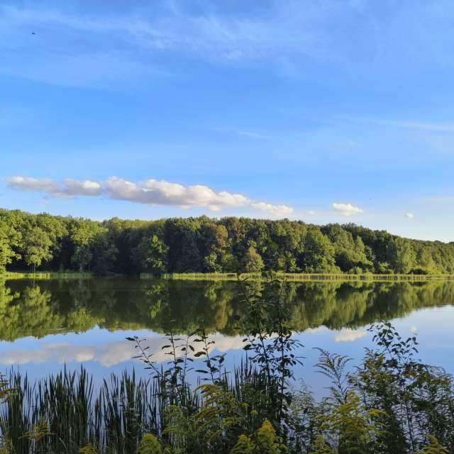 Surrounded. Weather forecasts with beautiful photos by Aleksei Photos in Tula