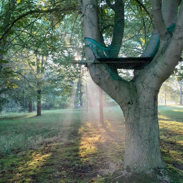 Weather forecasts with beautiful photos by Ute-Eleonore