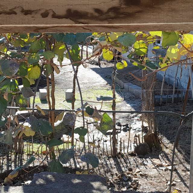 天气预报，带Soheilpmi精美的照片