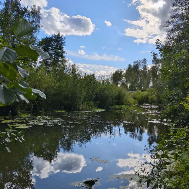 Surrounded. Weather forecasts with beautiful photos by Aleksei Photos in Tula