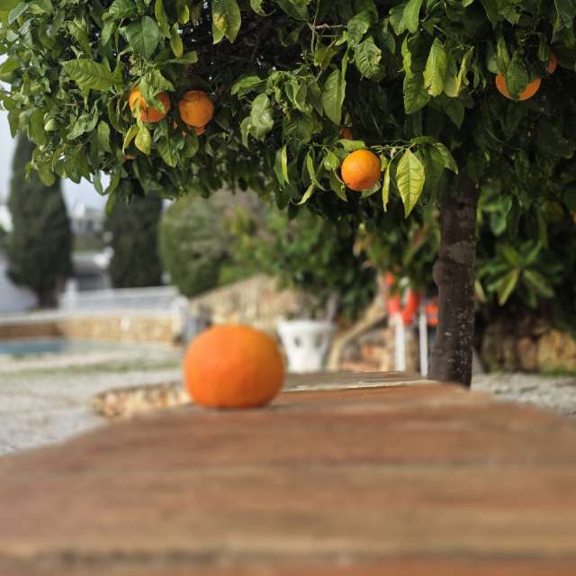 Weather forecasts with beautiful photos by Brtd