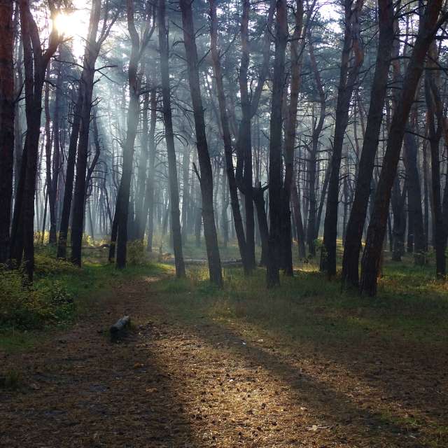 Air. Weather forecasts with beautiful photos by Михаил Гавриков Photos in Kharkiv