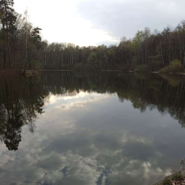 Water. Weather forecasts with beautiful photos by Amanda_and_Valdemar_Che Photos in Izmaylovo District