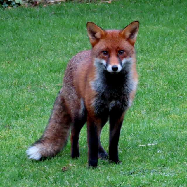 世界の天気写真. Lolliの美しい写真による天気予報