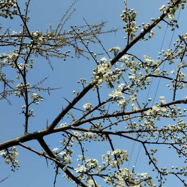 Spring. Weather forecasts with beautiful photos by Setill Photos in World