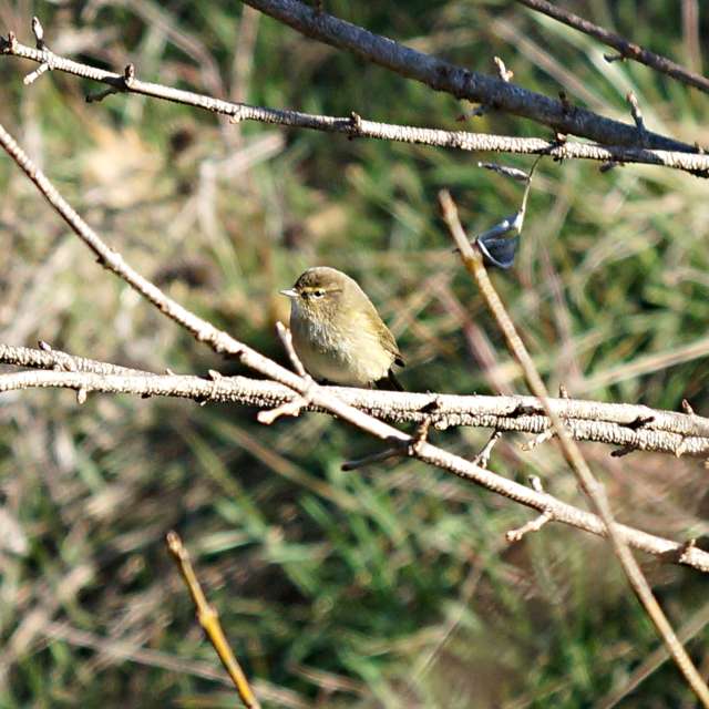 Wire. Weather forecasts with beautiful photos by tony5636 Photos in Calvisson