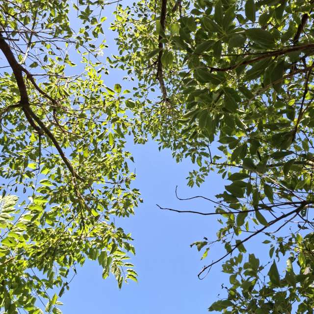 Photos Banc.banc. Prévisions météo avec de superbes photos de Wen-ya Huang de Kaohsiung