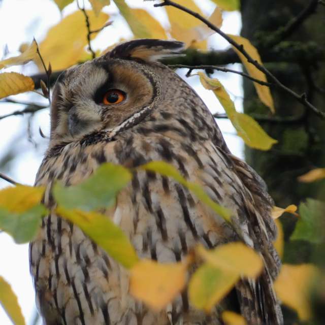 Прогнозы погоды с чудесными фотографиями, сделанными fwerner
