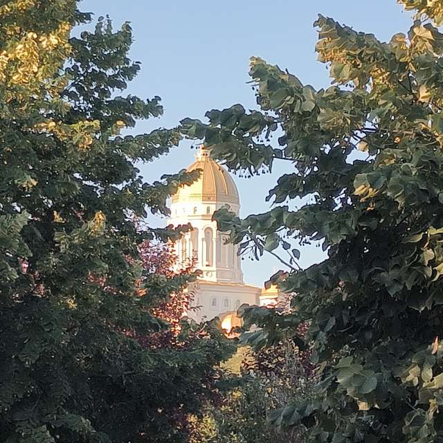 Fotos del Caminando. Pronósticos del tiempo con hermosas fotos de YanBog en Bucharest
