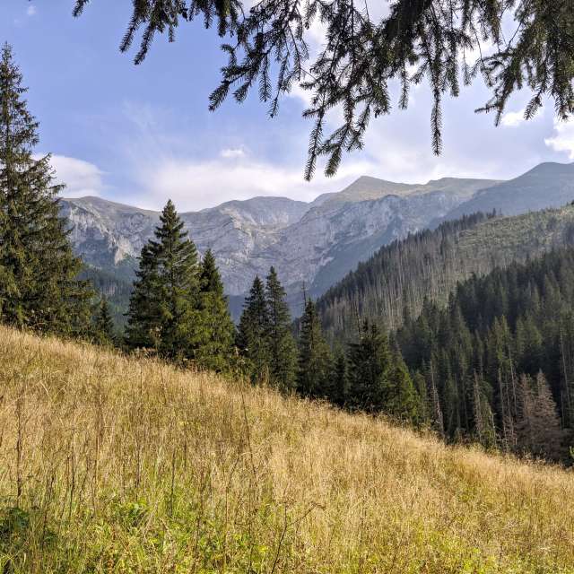 天气预报，带crisboon精美的照片