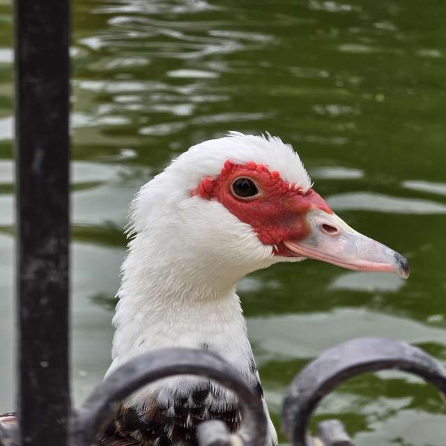 Pronósticos del tiempo con hermosas fotos de glazura